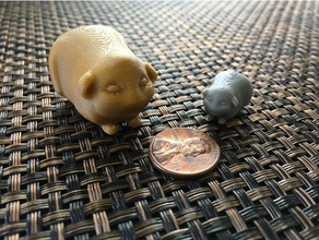 guinea pig Tiere cavvy kleines Tier 3d print model - Mito3D