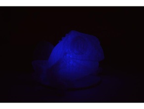 bukalemun ışık onları elektronik diy lamba led onlara aydınlatma 3d print model - Mito3D