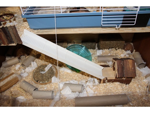 hamster escada de comprimento variável animais estimação 3D print model - Mito3D