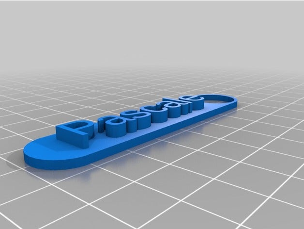 mon nom personnalisé étiquette de pascale porte-clés 3D print model - Mito3D