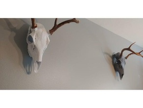 low poly cerf crâne animaux 3d print model - Mito3D