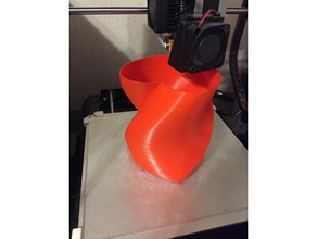 cœur tordu vase art 3d print model - Mito3D