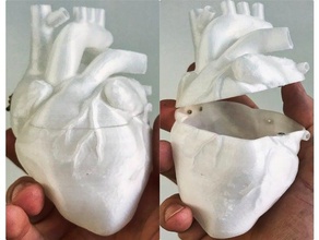 heart shaped box biology anatomical anatomy aorta blood container hearts 3d print model - Mito3D