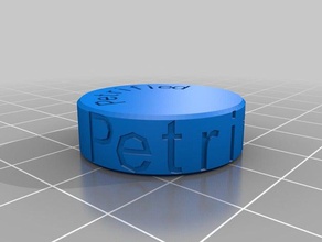 dnd petrificada estado de token jogos personalizado 3d print model - Mito3D