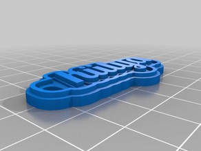 h lya Schlüsselanhänger kundengebundene 3d print model - Mito3D