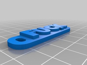 dirty keychain 2 keychains customized 3d print model - Mito3D