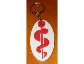 caduce keychain keychains hopital infirmier infirmi re key sante 3d print model - Mito3D