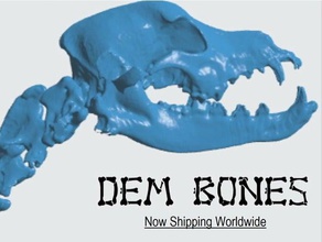 canino cane ossa del cranio e della colonna vertebrale animali anatomica le la scansione 3d print model - Mito3D