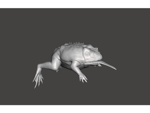 beelzebufo arca de sobrevivência evoluiu criaturas 3d print model - Mito3D
