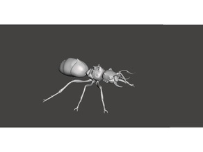 karınca gemi hayatta kalma gelişti yaratıklar 3d print model - Mito3D