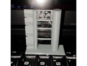 tek bir test retraksiyon köprü temp 3d baskı testleri totture 3d print model - Mito3D