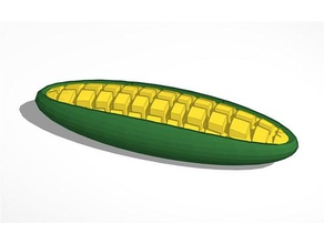 maïs 3d modèle de projet biotechnologie L'impression 3d print model - Mito3D
