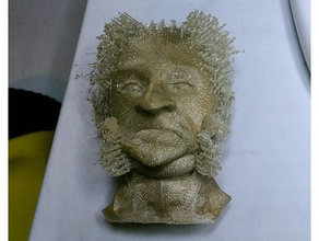 mr hairy muttonchop people hairyprints 3d print model - Mito3D