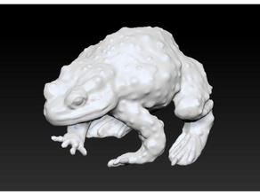 molting frog animals sculpture 3d print model - Mito3D