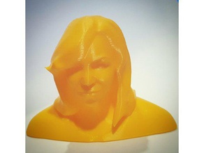 busto de michelle obama personas 3d print model - Mito3D