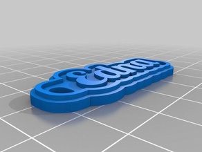 2mm edna Anahtarlık özelleştirilmiş 3d print model - Mito3D