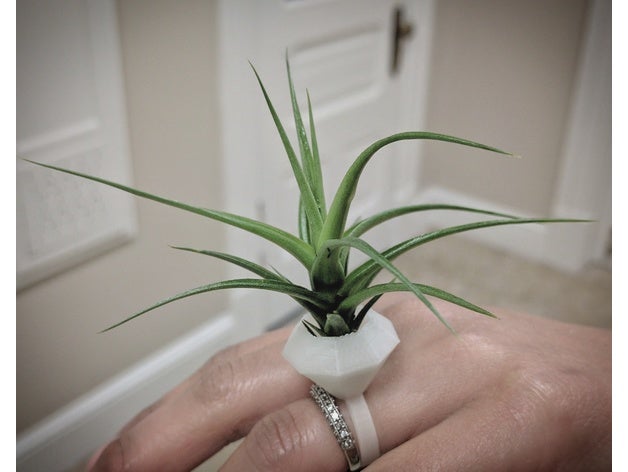 planteur de l'anneau bijoux airplants 3D print model - Mito3D