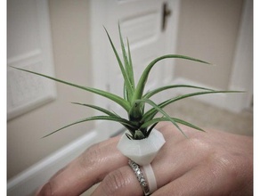 Pflanzer-ring Schmuck airplants ring 3d print model - Mito3D