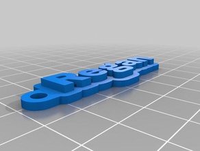 regan Schlüsselbund Schlüsselanhänger kundengebundene 3d print model - Mito3D