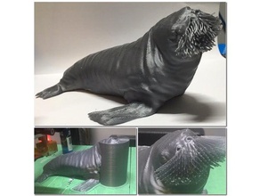 toothless hairy walrus interactive art seal 3d print model - Mito3D