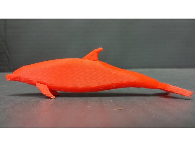 dolphin 3d printing animal dolphin ocean 3D print model - Mito3D
