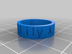 lily&ethan rings customized 3d print model - Mito3D