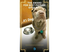 number one dog pets award cool customized customizer geeetech medal medallion numberone pet prize puppy trophy won 3d print model - Mito3D
