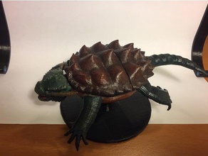 dragão de tartaruga brinquedos & games 3d print model - Mito3D