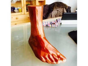 çorap engelleyici 3d ayak eu40 25cm poligonal aksesuarlar örgü sockblocker 3d print model - Mito3D