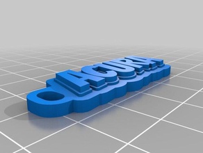 team uts keychains customized 3d print model - Mito3D