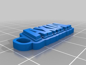 tlr Anahtarlık özelleştirilmiş 3d print model - Mito3D
