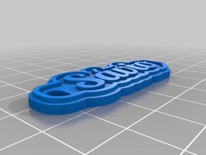 s vio 2mm keychains customized 3d print model - Mito3D