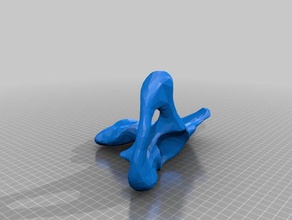 pelvic bone biology anatomy pelvis 3d print model - Mito3D