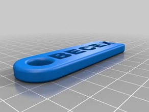 il mio personalizzato catena chiave accessori su misura 3d print model - Mito3D