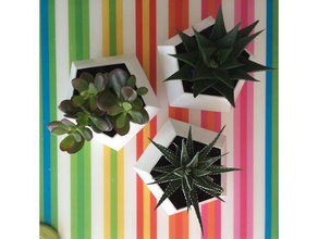 geometric flower planter outdoor & garden pot vase openscad plants 3d print model - Mito3D
