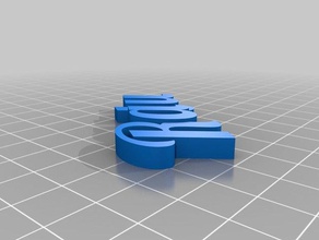 raluca organização personalizado 3d print model - Mito3D