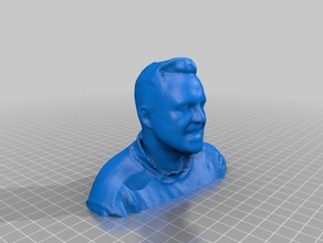 toche buste 3d delhougne printing 3d print model - Mito3D