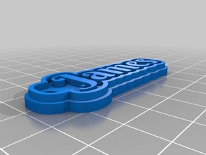 james Schlüsselbund Schlüsselanhänger kundengebundene 3d print model - Mito3D