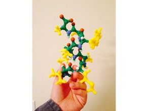 20 standard amino acids biology protein 3d print model - Mito3D