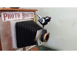paramétrico de aves câmera acessório pássaro birdie photobooth assista 3d print model - Mito3D