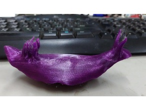 deniz salyangozları hayvanlar 3d print model - Mito3D