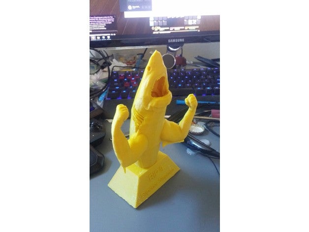 bullige shark trophy Tiere 3D print model - Mito3D