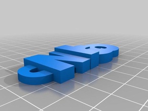 nico keyring organization customized 3d print model - Mito3D