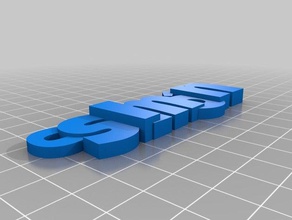 sim n llavero organización personalizado 3d print model - Mito3D
