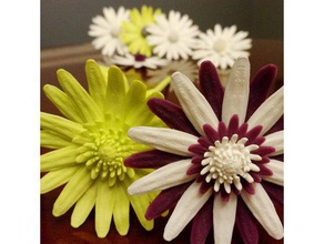 daisy - flat flower decor daisy flower