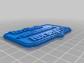 terri Schlüsselanhänger kundengebundene 3d print model - Mito3D