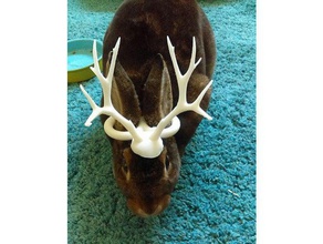 jackalope horns bunny creatures 3d print model - Mito3D
