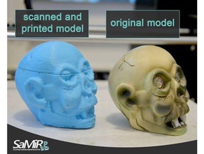 skull scans & replicas 3d printing scan scanning art duplicator replica replicator 3d print model - Mito3D