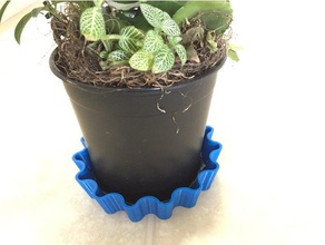 flower pot dish outdoor & garden flowerpot vase 3d print model - Mito3D