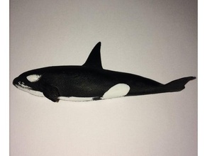 killer whale kitchen & dining fridge magnet orca sea life tilikum 3d print model - Mito3D